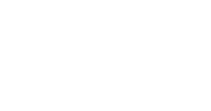 anec_marca_redes_sociais_sem-fundo-300x158
